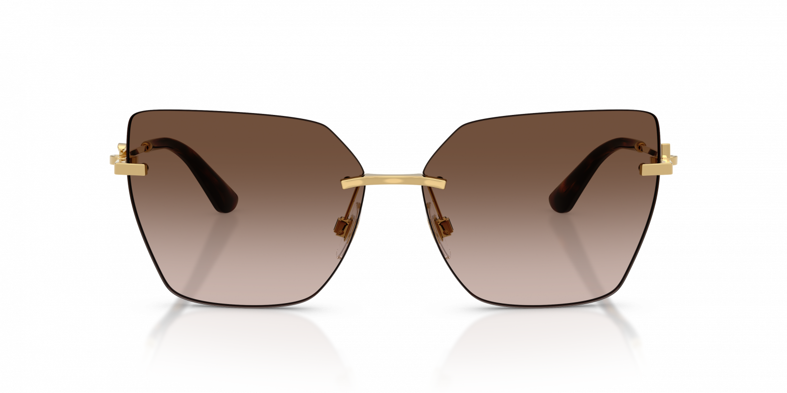 Dolce & Gabbana DG2321 02/13  